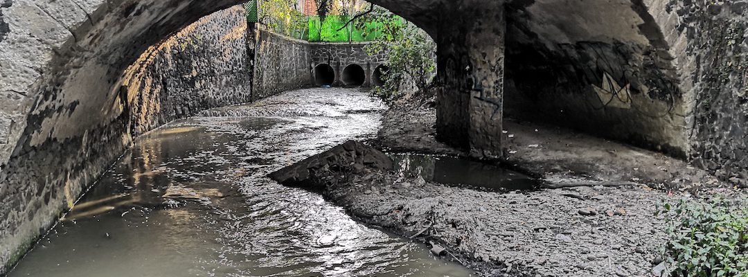 Emerger del concreto: los ríos olvidados de la Ciudad de México