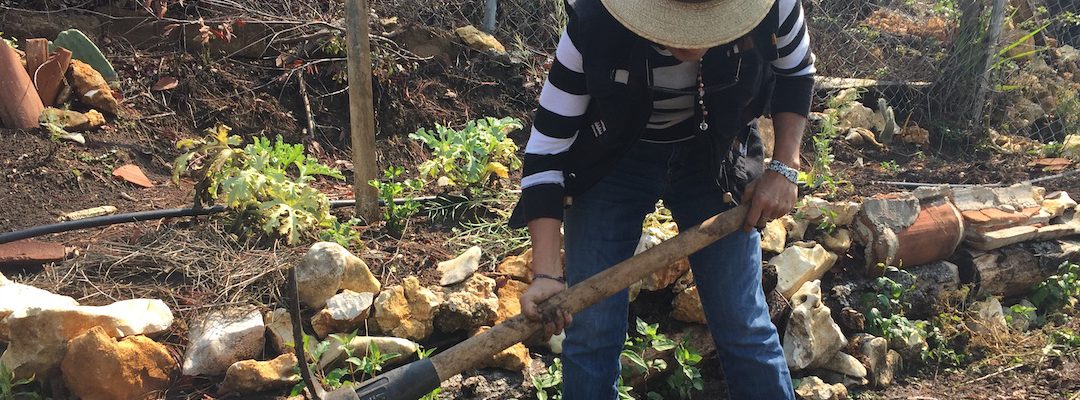 Agroecología para combatir la desigualdad