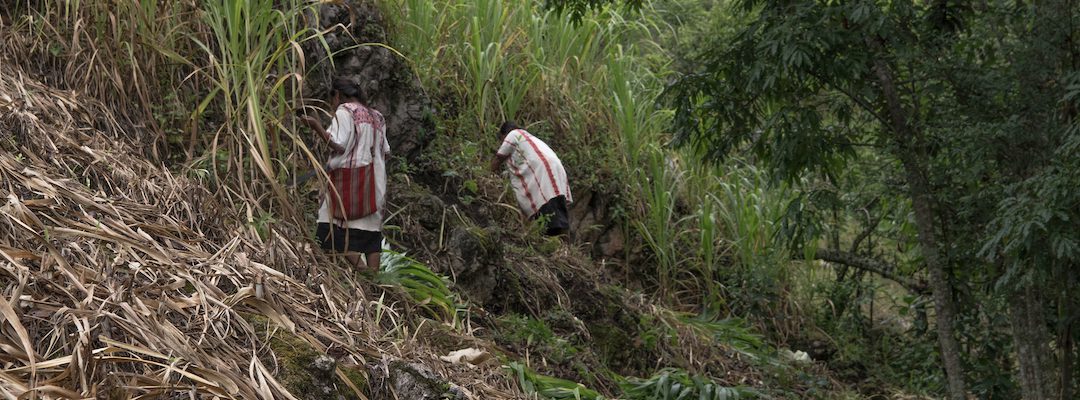 Así es como mujeres rurales enfrentan la epidemia de Covid-19